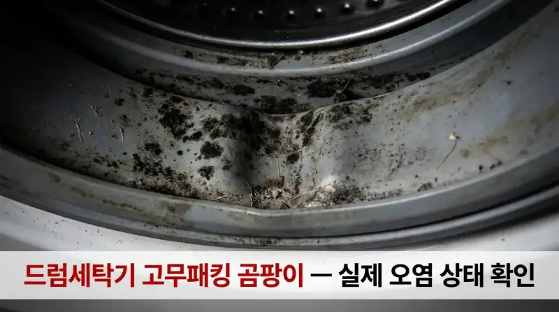 세탁기 곰팡이 청소 셀프로 해봤더니